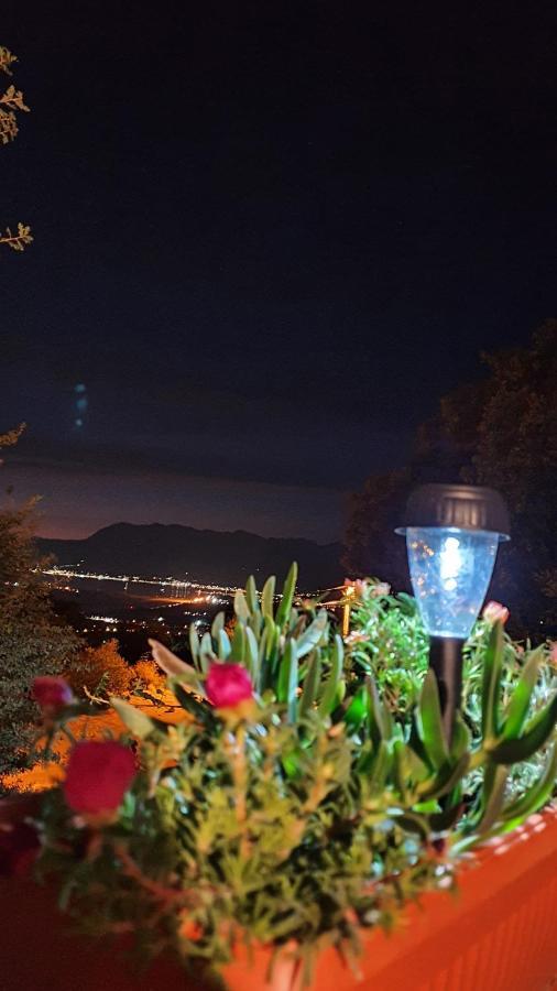 Apartment Jelena Sutvara Kotor Bagian luar foto